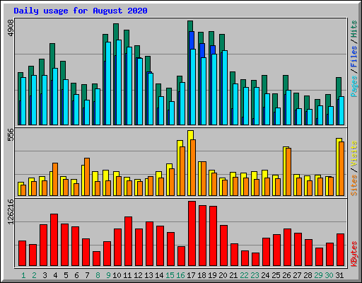 Daily usage for August 2020