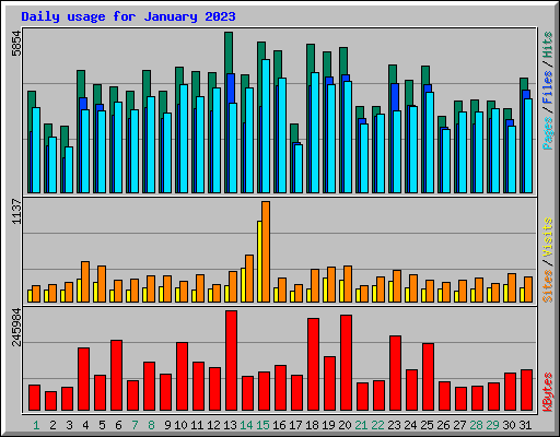 Daily usage for January 2023
