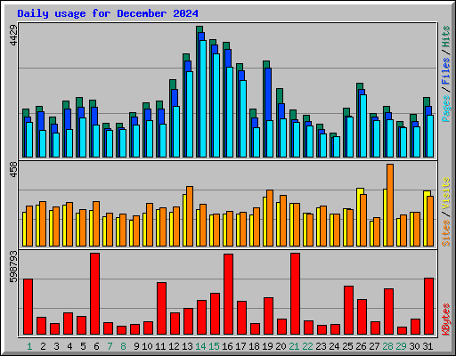 Daily usage for December 2024