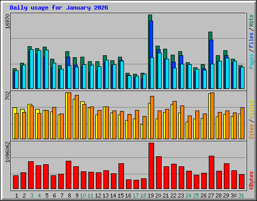 Daily usage for January 2026