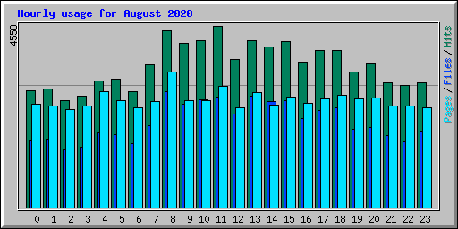 Hourly usage for August 2020