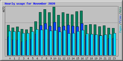 Hourly usage for November 2020