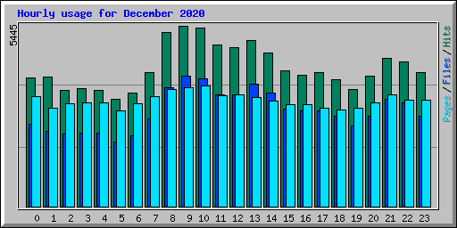 Hourly usage for December 2020