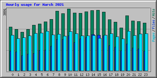 Hourly usage for March 2021