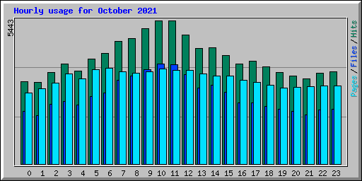 Hourly usage for October 2021
