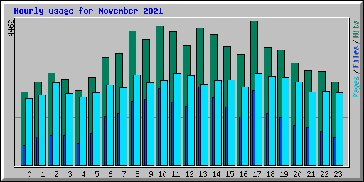 Hourly usage for November 2021