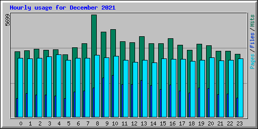 Hourly usage for December 2021