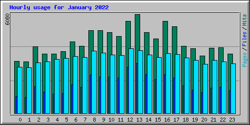 Hourly usage for January 2022
