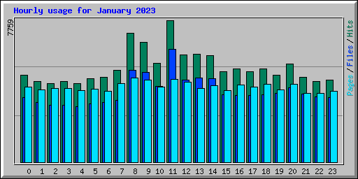 Hourly usage for January 2023