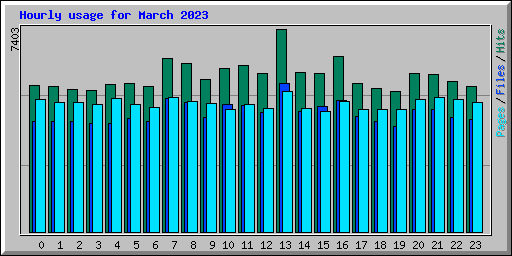 Hourly usage for March 2023