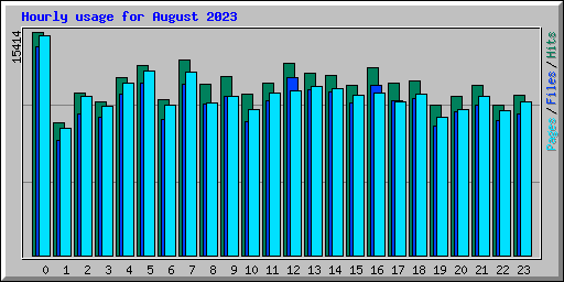 Hourly usage for August 2023