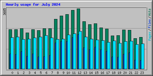 Hourly usage for July 2024