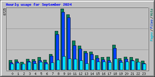 Hourly usage for September 2024