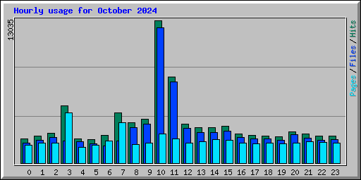 Hourly usage for October 2024