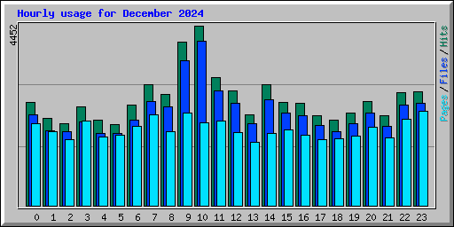 Hourly usage for December 2024