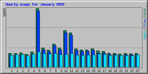 Hourly usage for January 2025