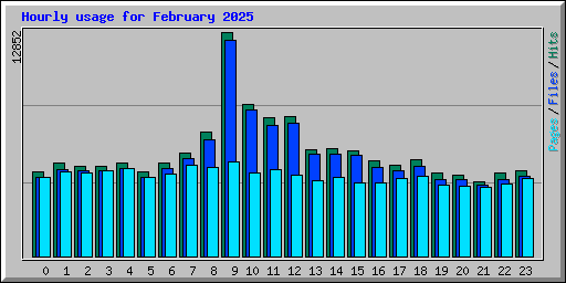 Hourly usage for February 2025