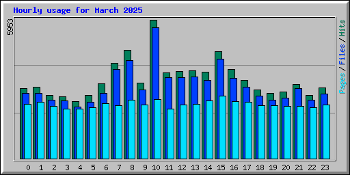 Hourly usage for March 2025