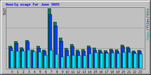 Hourly usage for June 2025
