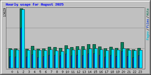 Hourly usage for August 2025