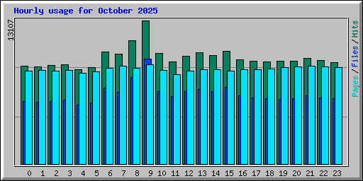Hourly usage for October 2025