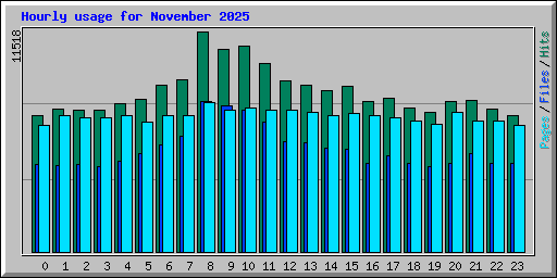 Hourly usage for November 2025