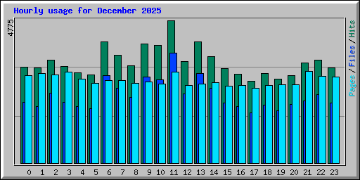 Hourly usage for December 2025