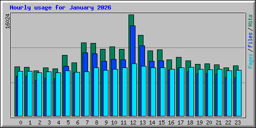 Hourly usage for January 2026