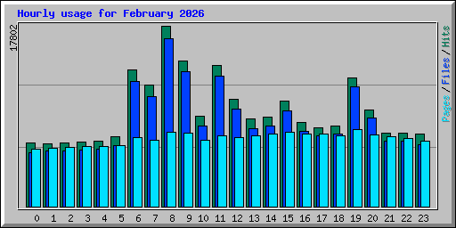 Hourly usage for February 2026