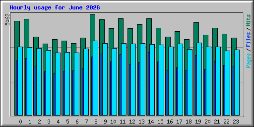 Hourly usage for June 2026