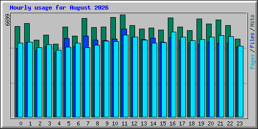 Hourly usage for August 2026
